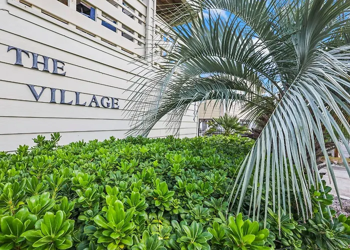 The Village 13d